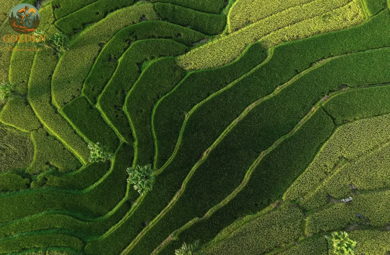 3-Day Thai Nguyen Backroad Cycling Tour: Ban Ten, Tea Hills & Nui Coc